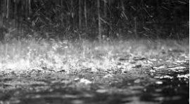 Uwaga Żaki-w przypadku deszczu zajęcia odwołane