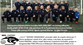 Nabór do zespołu "expert"PANTERY Sierakowice