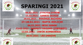 Plan sparingów Brzozovii