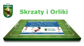 Drużyny UKS Orlik  na turniej DMLPN - Skrzaty i Orliki