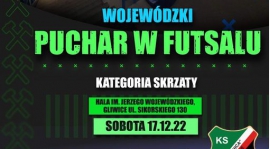 Turniej Wojewódzkiego Pucharu Skrzatów w Futsalu.