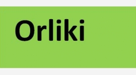 Orliki trening