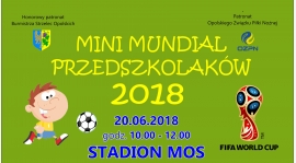 Mini Mundial Przedszkolaków