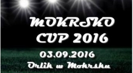 Turniej Dzikich Drużyn w piłkę nożną - Mokrsko Cup 2016!