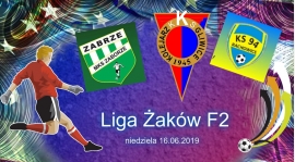 Liga Żaków 2011 w Rachowicach