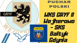 Fortuna Puchar Polski