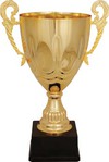 Puchar Prezesa MKS-u 2014