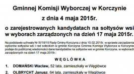 Wybory na sołtysa