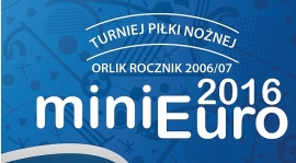 MINI EURO w Buku