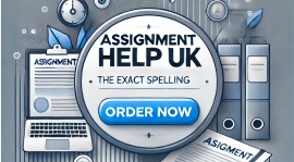 Custom Assignment Help Tailored for UK Students