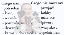 Zbiórka dla schroniska PROMYK :)