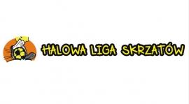 Halowa Liga Skrzatów