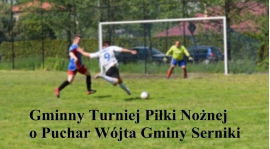 Gminny Turniej Piłki Nożnej o Puchar Wójta Gminy Serniki