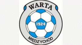 Turniej Warta Cup 2015- Żaki 2006
