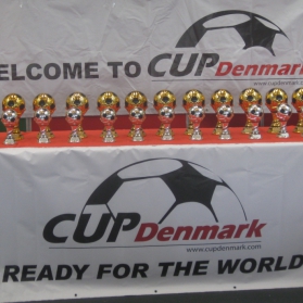 Turniej Denmark Cup 2013