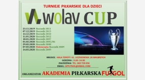 Wolav Cup