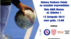 Halowy Puchar Polski