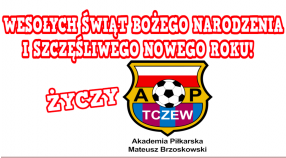 WESOŁYCH ŚWIĄT I DOBREGO ROKU!