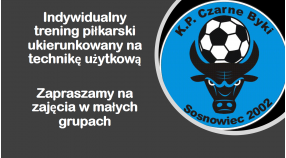 PROJEKT "CZARNE BYKI" NADCHODZI