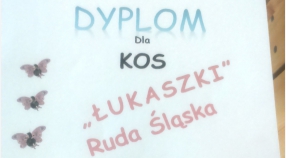 XV Regionalny Dzień Treningowy MATP Olimpiad Specjalnych