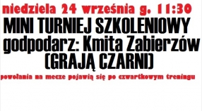 Turniej szkoleniowy