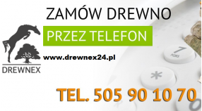 DREWNEX