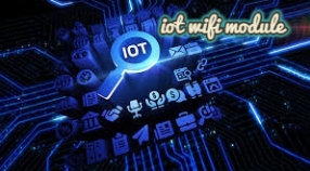 What are the advantages of wireless wifi in the IoT that lead to high demand!