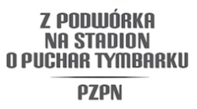 z podwórka na stadion