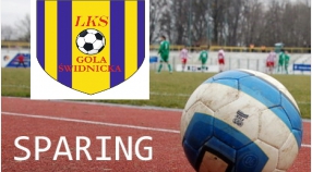 Sparing: LKS Wiśniowa - LKS Gola 2:10