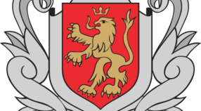 Gra rocznika 2005 w Radomyślu Wielkim