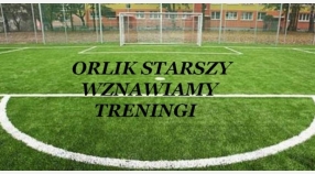 Orlik starszy wznawia treningi