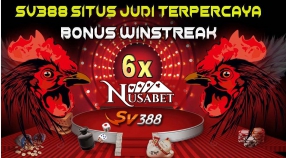 EVENT WINSTREAK SABUNG AYAM