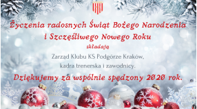 Wesołych Świąt i Szczęśliwego Nowego Roku