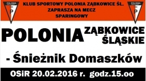 Sparing: Polonia Ząbkowice Śląskie - Śnieżnik Domaszków