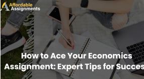 How to Ace Your Economics Assignment: Expert Tips for Success