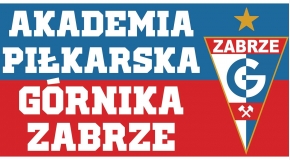 Grupa Treningowa 2007-08 Liga Żaków