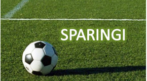 Ostatni sparing !