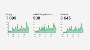 Statystyki strony Błękitnych w lipcu