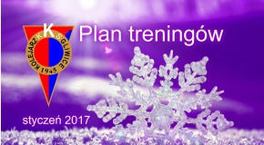 Plan treningów - styczeń 2017