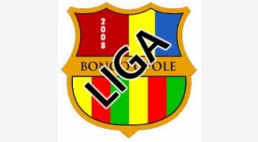 Bongo 3:4 Football Sport