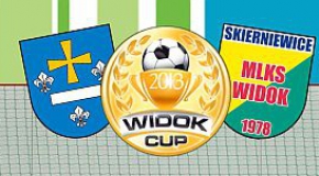 Widok Cup VI