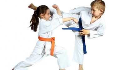 Karate kyokushin