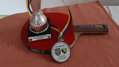 Sukces tenisistów