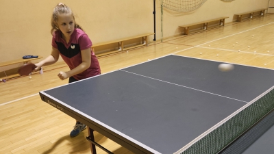 Tenis stołowy