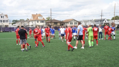 Polonijne drużyny w rozgrywkach ligowych