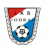 Odra Total Ścinawa