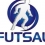 Amatorska Liga Futsalu /ALF