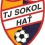 Sokol Hat