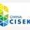 Cisek