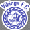 Vikings FC Demarest